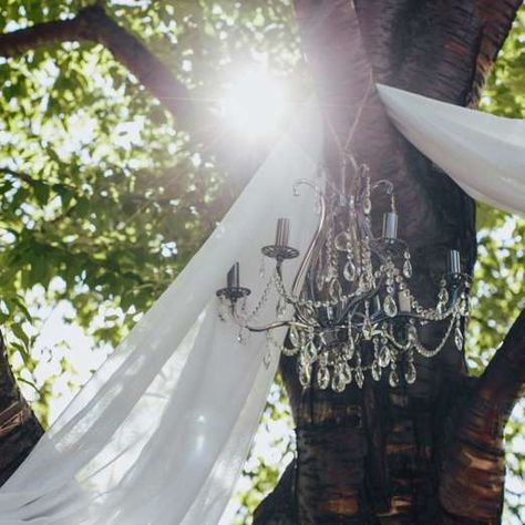 Slide 3 of 19: Hang Chandeliers From TreesA chandelier will add light and elegance to an outdoor wedding reception. And you can hang the chandelier from a large tree branch with a strong rope to take advantage of the natural outdoor setting. If your wedding venue doesn't have an abundance of trees, you can also hang chandeliers from a homemade arbor and decorate it with floaty blooms and lots of greenery.And be sure to tie the chandeliers tight and securely with these 5 knots to know. Outdoor Wedding With Chandelier, Chandelier Hanging From Tree, Chandelier In Tree Wedding, Chandelier Outside Wedding, Tree Chandelier Outdoor, Chandelier Outdoor Wedding, Diy Wedding Chandelier, Diy Outdoor Wedding Decorations, Homemade Arbor