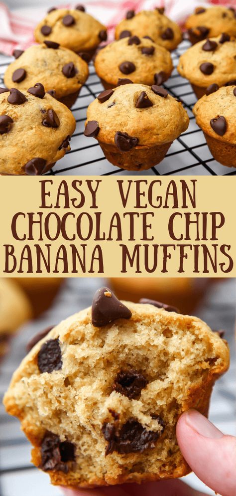 Vegan Banana Bread Muffins, Vegan Banana Chocolate Chip Muffins, Banana Chocolate Chip Muffins Healthy, Chocolate Chip Banana Bread Muffins, Vegan Banana Muffins, Coconut Dessert, Breakfast Vegan, Vegan Muffins, Banana Bread Muffins