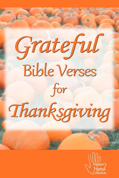 There are a lot of Bible Verses for Thanksgiving. Not the American holiday as we see it today. But about a grateful heart for all God has done. Read these scriptures and be filled with thankfulness today. #devotional #biblestudy #BibleVerses #scriptures #Thanksgiving Grateful Bible Verses, Verses For Thanksgiving, Christian Autumn, Thankful Scripture, Thanksgiving Verses, Thanksgiving Bible Verses, Fall Bible Verses, Hand Collection, Short Bible Verses