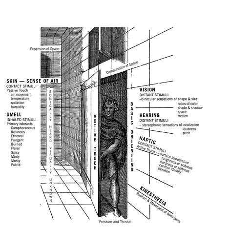 Why sensory design? | Cooper Hewitt, Smithsonian Design Museum Sensory Design, Architecture Section, Site Development Plan, Installation Architecture, Interactive Architecture, Design University, Urban Design Diagram, Concept Models Architecture, Interior Design Presentation