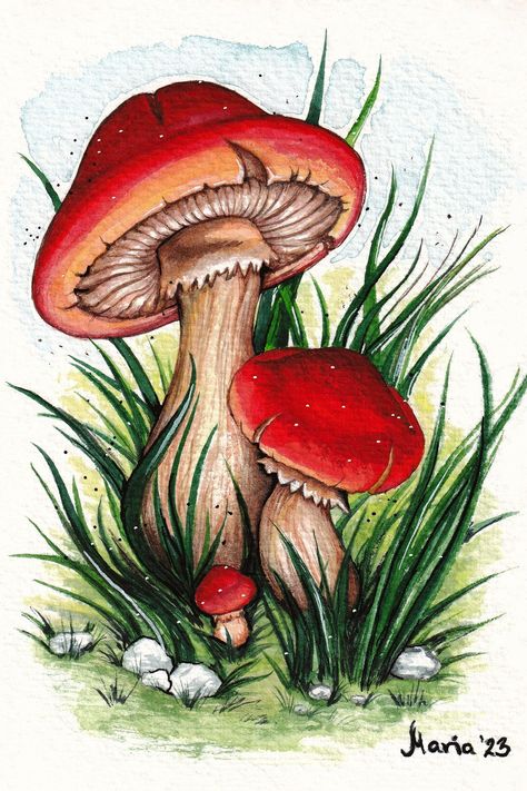 Mushrooms illustration, Digital copy, Watercolor children's illustration, Card, Handmade, Wall decor, Nursery art, Mushroom Drawing Detailed, Magical Mushroom Art, Mushroom Illustration Cute, Paintings Of Mushrooms, Canva Arts, Cute Mushroom Art, Vintage Mushroom Art, Mushroom Artwork, Mushrooms Illustration