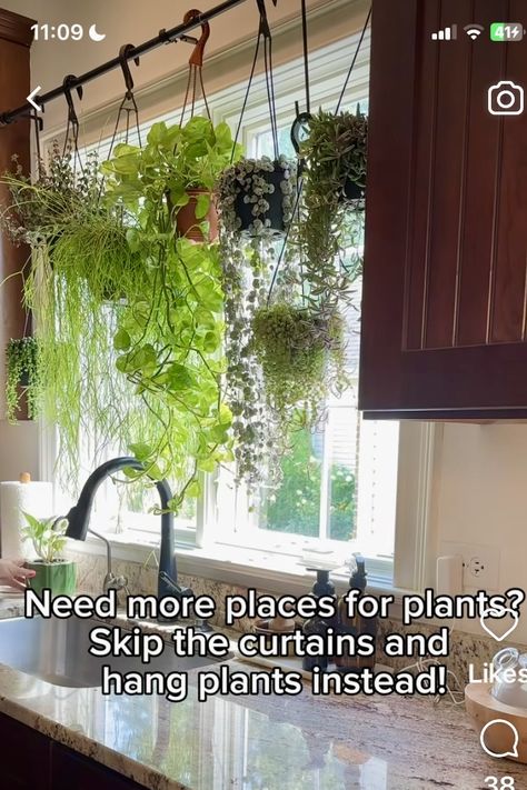 Plant Kitchen Aesthetic, Plants On Top Of Kitchen Cabinets, Condo Kitchen Decor, Dining Room Plants, Cute Kitchen Ideas, Table In Kitchen, Top Of Kitchen Cabinets, 2024 Bedroom, Room Plants