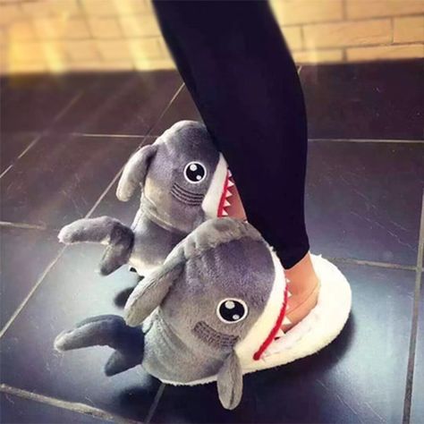 Funny Slippers, Cool Sharks, Funny Shoes, Shark Slippers, Shark Plush, Sharks Funny, Indoor Slippers, Cute Slippers, Cute Shark