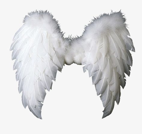 Angel Wings Clip Art, Angel Wings Png, Angel Wings Drawing, Baby Angel Wings, Angel Clipart, Tumblr Png, Angel Vector, Wings Png, Moodboard Pngs