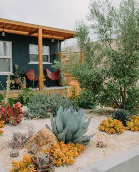 Desert Landscape Front Yard, Desert Backyard, Sunset Magazine, Front Yard Design, Desert Garden, Home Landscaping, Yard Design, Cactus Garden, Front Yard Landscaping Design