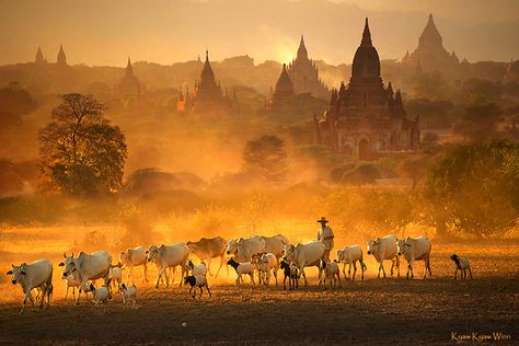 16 Extraordinary Images By Myanmar's Kyaw Kyaw Winn ဂျပန်ဂတုံး Photo, Bagan Myanmar Art, သကြန် Photo, မန်ယူ Photo, Bagan Myanmar Photography, Bg Editing, Bhau Beej, Bagan Photo, Gaman Santhal