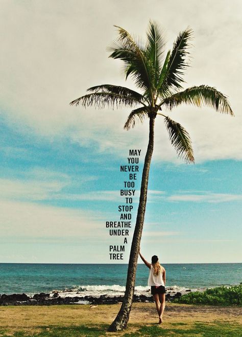 Stop and breathe under a palm tree... Palm Tree Quotes, Tree Quotes, Beach Quotes, Salt Life, Beach Bum, Kauai, Travel Quotes, Beach Life, Palm Tree