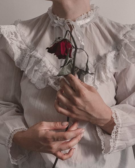 A woman in a white shirt holding a red rose photo – Free Iran Image on Unsplash Giving Roses To Her, Vintage Background Aesthetic, Iran Vintage, Free Iran, Nail Art Fall, Rose Reference, Fall Backgrounds, Lace Background, Hand Photography