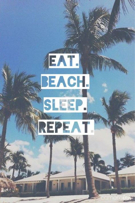 Vibe Quote, Holiday Quotes, Beach Quotes, Summer Quotes, Sunny Beach, Salt Life, Tropical Vacation, Beach Vibes, Beach Bum