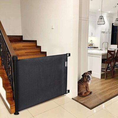 Product descriptionA baby gate is an essential tool to contain and protect your little one ,our Retractable Gate works as both baby gate and pet gate to keep mischief contained by providing a safe, closed off environment to play. This retractable gate is 33" Tall, Fits opening up to 55" wide. Can be installed at bottom of stairways, doorways, hallways, indoor and outdoor use. Suitable for use with children from 6 to 24 months or small to medium pets. Retractable design and one handed operation p Dog Gate For Stairs, Retractable Stair Gate, Stair Gates, Stairs Indoor, Dog Gates For Stairs, Freestanding Dog Gate, Wooden Pet Gate, Gate For Stairs, Retractable Baby Gate