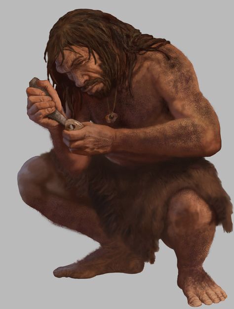 Human Evolution Tree, Prehistoric Humans, Age Reference, Homo Heidelbergensis, Ancient America, National Museum Of Natural History, Paleolithic Era, Early Man, Prehistoric Man