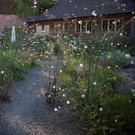 Sacred Garden, Border Ideas, Moon Garden, Herbaceous Perennials, Courtyard Garden, Types Of Soil, Back Garden, Garden Gates, Front Garden