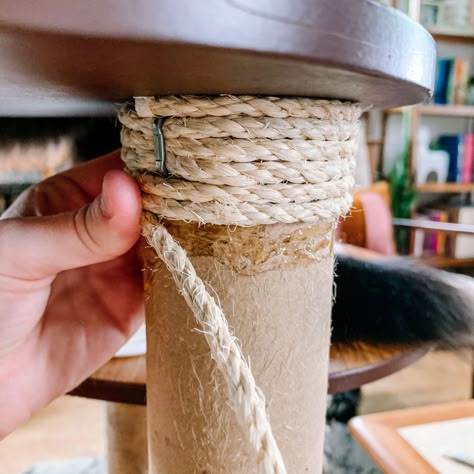 Diy Cat Scratching Post, Diy Cat Scratcher, Animal Tips, Cat Scratcher Post, Katt Grejer, Animal Treats, Cat Patio, Cat Wall Shelves, Diy Cat Tree