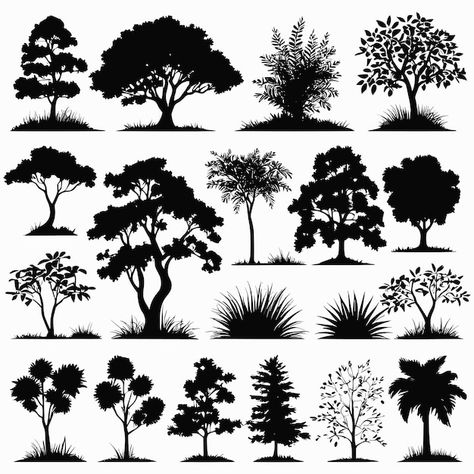 Tree silhouettes drawing collection hand... | Premium Vector #Freepik #vector #tree #black #flat #plants Tree Outline Silhouettes, Silhouettes Drawing, Oak Tree Silhouette, Drawing Collection, Silhouette Drawing, Vector Trees, Hand Drawn Vector Illustrations, Tree Silhouette, Hand Drawn Vector