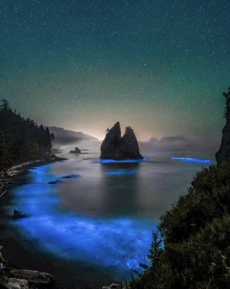 Rialto Beach, Washington. Photo: Mathew Nichols Photography. Rialto Beach Washington, Bioluminescent Algae, Rialto Beach, Olympic National Park, Vancouver, Oregon, Road Trip, Washington, National Parks