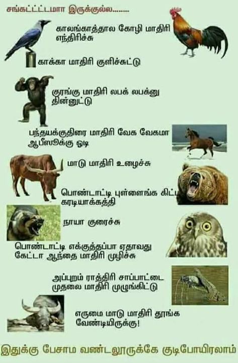 Tamil Jokes, Tamil Love Quotes, Crazy Jokes, Tamil Motivational Quotes, For Whatsapp Status, Funny Dialogues, Very Funny Memes, Reality Of Life Quotes, Business Inspiration Quotes