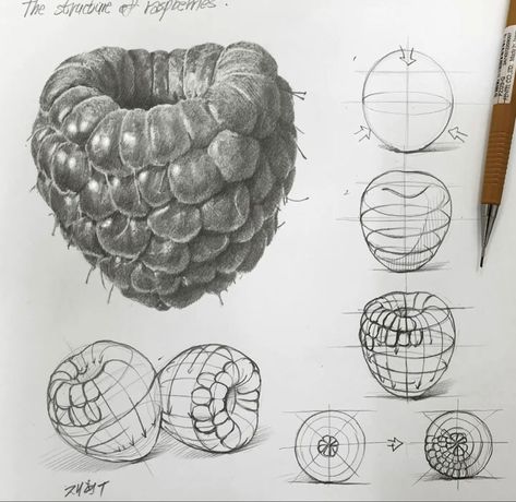 Organic Objects Drawing, Structures Art Gcse, Shape Drawings Art, Structure Art Gcse, Drawing Raspberry, Food Drawings Easy, Structures Drawing, Shape In Art, Raspberry Drawing