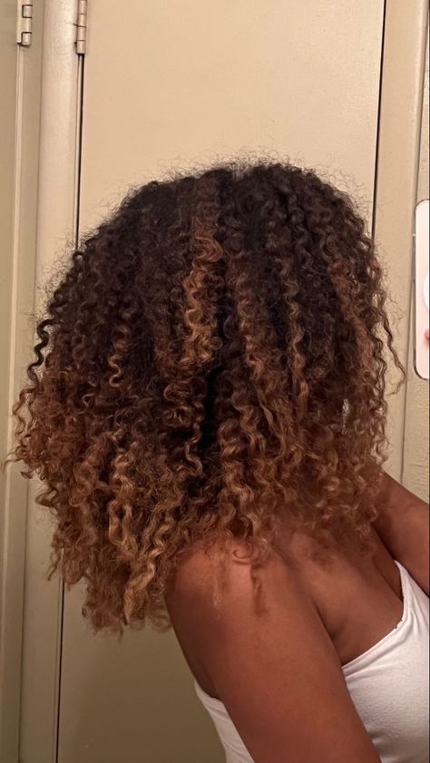 #hair #curly #highlights Brown Highlights On Black Hair Curly 4c, Dyed Brown Curly Hair, Dark And Light Brown Balayage, Highlights Black Women Natural Hair, 4c Hair With Highlights, 4c Highlights, Curly Highlights Black Hair, Highlight Natural Hair, Hair Curly Highlights