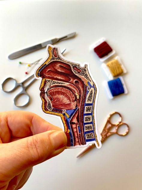 These stickers of my hand embroidered designs are perfect for lovers of anatomy and textile art. Be inspired by pop-off-the-surface stitches and bang-on anatomical accuracy by sticking them to your gadgets, notebooks, bags, revision notes. dissection and embroidery kits and wherever you need to see uplifting anatomical designs. Using my original embroidery of the head this weatherproof vinyl sticker will give you all of the strokable inspiration and daily gorgeousness.  The original hand embroid Embroidery Anatomy, Medical Embroidery, Anatomy Embroidery, Embroidery Stickers, Revision Notes, Embroidered Designs, Floral Embroidery Patterns, Cute School Supplies, Personalized Embroidery