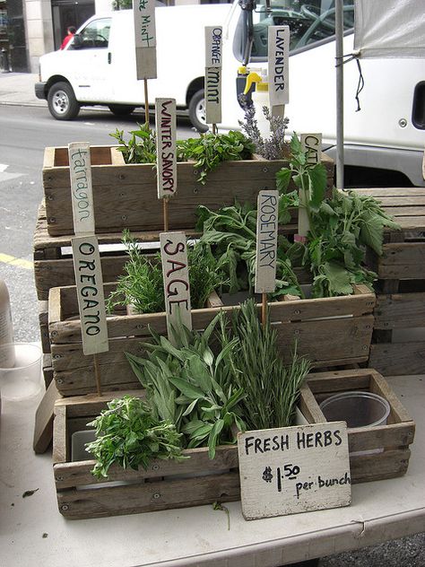 A display of herbs for scenting he air from running hands over them. www.PeachDish.com Fresh Herb Display, Fresh Herb Bundles, Farmers Market Herb Display, Selling Herbs At Farmers Market, Plant Stall Ideas, Farmers Market Aesthetic Display, Farm Store Display, Farmers Market Plant Display, Farmers Market Display Ideas Farm Stand