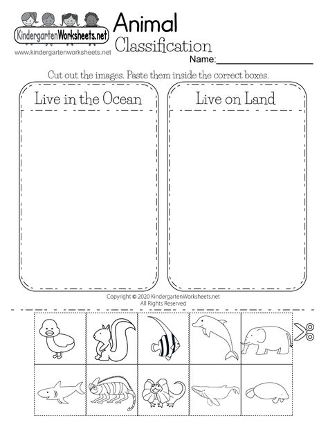 Animal Classification Worksheet for Kindergarten - Life Science Life Science Kindergarten, Animal Science Kindergarten, Animals That Live On Land, Sorting Animals Worksheet, Free Science Worksheets For Kindergarten, Animal Habitat Sorting Free Printable, Kindergarten Science Worksheets Free Printable, Kg Science Worksheet, Kindergarten Science Animals