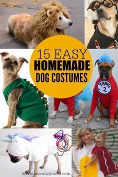 Homemade Dog Costumes, Big Dog Costumes, Dog Costumes Halloween Large, Diy Pet Costumes, Large Dog Costumes, Small Dog Costumes, Dog Clothes Diy, Diy Dog Costumes, Homemade Halloween Costumes