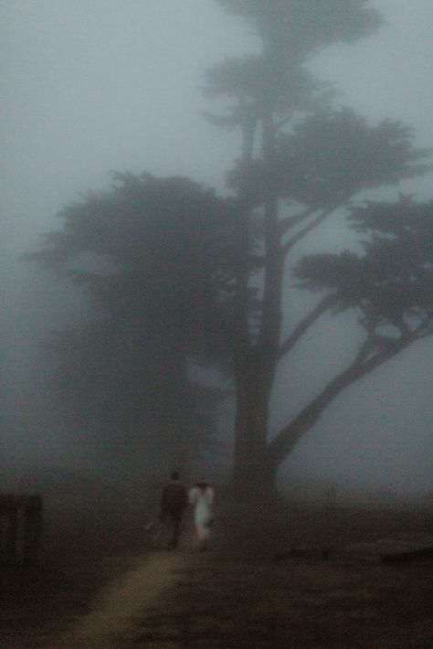 Fog Engagement Photos, Foggy Couple Photoshoot, Cloudy Engagement Pictures, Foggy Photoshoot, Seeing Ghosts, Aesthetic Honey, Farm Couple, Point Reyes California, Fog Photography