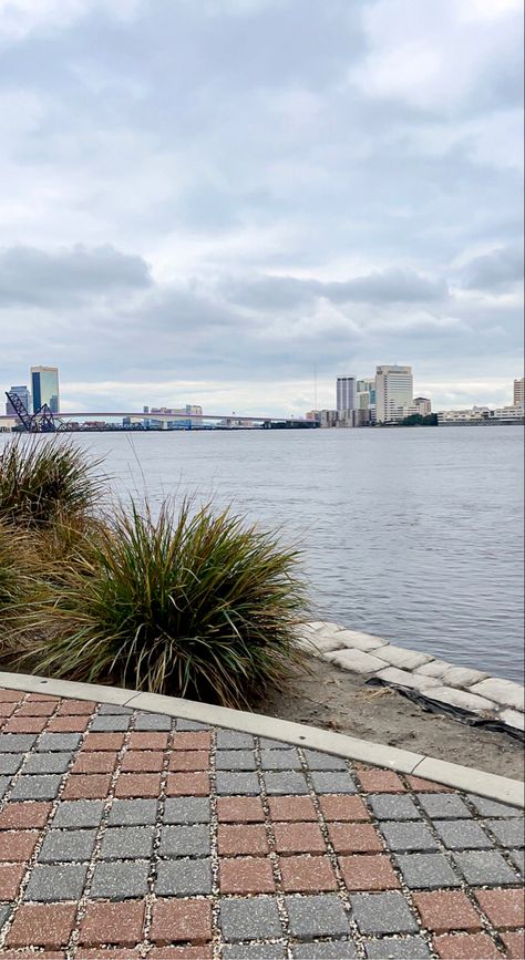 #jacksonville #downtown #river #rivercity #florida #floridaliving #evening #walk Downtown Jacksonville Florida, Rocky Top, River City, Florida Living, Evening Walk, Jacksonville Florida, Florida Vacation, Florida