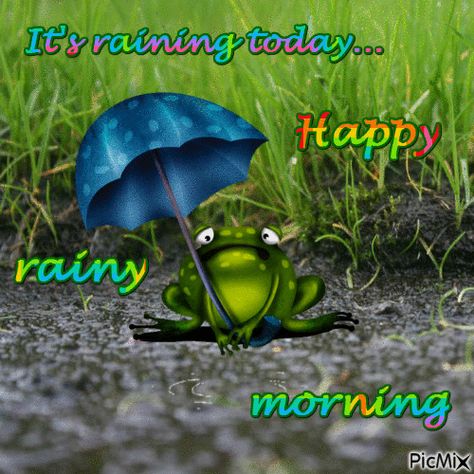 Good Rainy Morning, Rainy Morning Quotes, Morning Rainy Day, Rainy Good Morning, Good Morning Rainy Day, Rainy Day Quotes, Baby Alive Doll Clothes, Thinking Of You Quotes, Rainy Morning