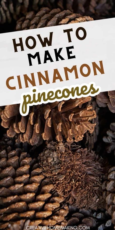 Pinecone Preparation, Diy Pinecone Tree, Cinnamon Pinecones, Pinecone Trees, Pinecones Crafts, Pinecone Ideas, Elf Birthday, Hippie Drawing, Cinnamon Smell