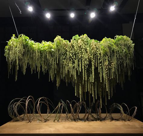 Amaranthus Hanging Installation, Greens For Flower Arrangements, Hanging Amaranthus Installation, Amaranthus Installation, Green Amaranthus Wedding, Green Amaranthus Bouquet, Foliage Arrangements Wedding, Fern Installation, Amaranthus Arrangement