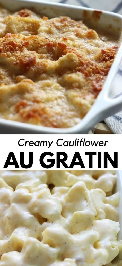 Enjoy a cheesy, creamy cauliflower Au Gratin casserole with rich béchamel sauce topped with a crusty layer of breadcrumbs and cheese. Cauliflower With Bechamel Sauce, Vanilla Pudding Recipe, Cauliflower Au Gratin, Savory Bakes, Cookbook Binder, Mexico Recipes, Vanilla Pudding Recipes, Homemade Vanilla Pudding, Cauliflower Casserole Recipes