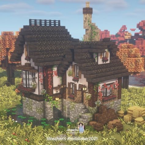 Birch Cottage Minecraft, Birch Minecraft House, Minecraft Birch House Ideas, Minecraft Birch House, Birch House Minecraft, Meh Aesthetic, Mc House, Mind Craft, Minecraft Kingdom