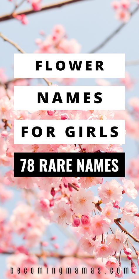 flower names for girls rare names Flower Related Names, All Flowers Name List, Female Flower Names, Rare Flowers Names, Unique Flowers Names, Names That Mean Gold, Flower Names And Meanings, Flower Names For Girls Baby, Names Meaning Flower