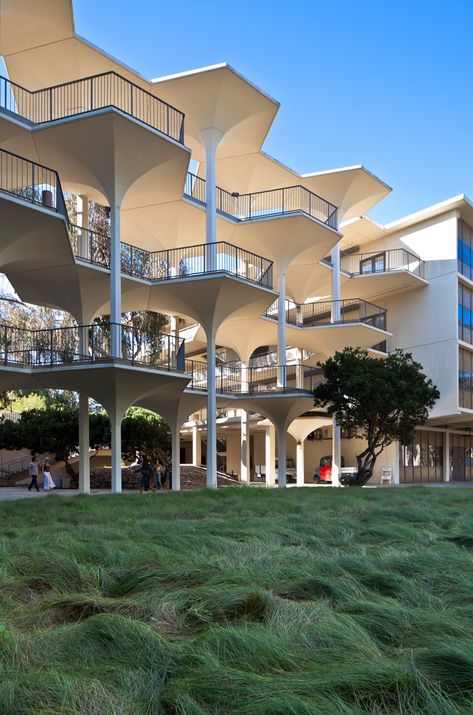 UCSD: A Built History of Modernism,The Breezeway, Revelle College © Darren Bradley Art Galleries Design, Unique Buildings, Structure Architecture, Commercial Architecture, College University, Brutalism, Futuristic Architecture, Architectural Inspiration, La Jolla