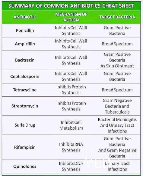 Common Antibiotics Antibiotics Cheat Sheet, Nursing Facts, Np School, Nursing Information, Nursing Cheat, Nurse School, Student Info, Vet Medicine, Nursing Mnemonics