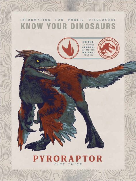 Accurate Dinosaur Art, Jurassic World Pyroraptor, Jurassic World Hybrid Dinosaurs, Pyroraptor Art, Blue And Beta Jurassic World, Scientifically Accurate Dinosaurs, Indoraptor Drawing, Indoraptor Art, Dinosaur Pfp