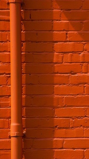 Orange Whip, Orange Brick, Board Inspiration, Jaune Orange, Orange Walls, Rainbow Aesthetic, Orange Aesthetic, Orange Wallpaper, Tangerine Orange