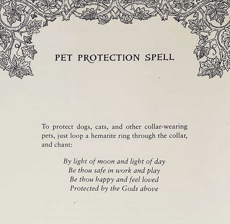 Pet Protection Spell, Rain Spell, Pet Healing, Spell Magic, Moon Chart, Spells For Beginners, Earth Book, Protection Spell, Wiccan Magic