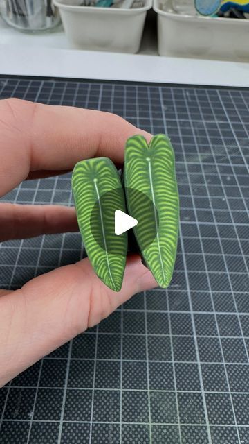 Astrid Wilk on Instagram: "Making my new ANTHURIUM VEITCHII miniature plant cane pattern from oven hardening polymer clay.  This plant is also called the King Anthurium. Maybe one of you knows why?! Please drop a comment. The pattern is created by staking bullseye cane with a skinner blend of different shades of green. So simple with a great effect. After modeling each leaf, the stripes and shades help create the depth effect of the characteristic leaf structure. Have fun creating 🪴  You’re asking a lot for process videos, so here is a brand new one. As always made from oven-hardening polymer clay.  #astridwilkdiy #polymerclaycane #polymerclaycanes #polymerclaytutorial #polymerton  #miniaturen #myfimo #miniaturemaking #artistsofinstagram #miniatures #smallthings  #ミニチュア #clayart #claycrea Polymer Clay Skinner Blend, Miniature Clay Plants, Polymer Clay Mini Plants, King Anthurium, Polymer Clay Plants, Anthurium Veitchii, Clay Plants, Polymer Clay Leaf, Polymer Cane