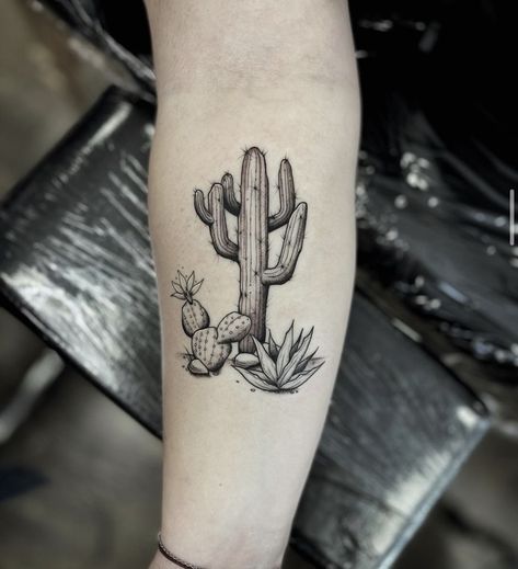 Ocotillo Tattoo, Desert Tattoo, Pine Tattoo, Succulent Tattoo, Arizona Tattoo, Cactus Tattoo, Western Tattoos, Wrist Tattoos For Guys, Flash Tattoo Designs