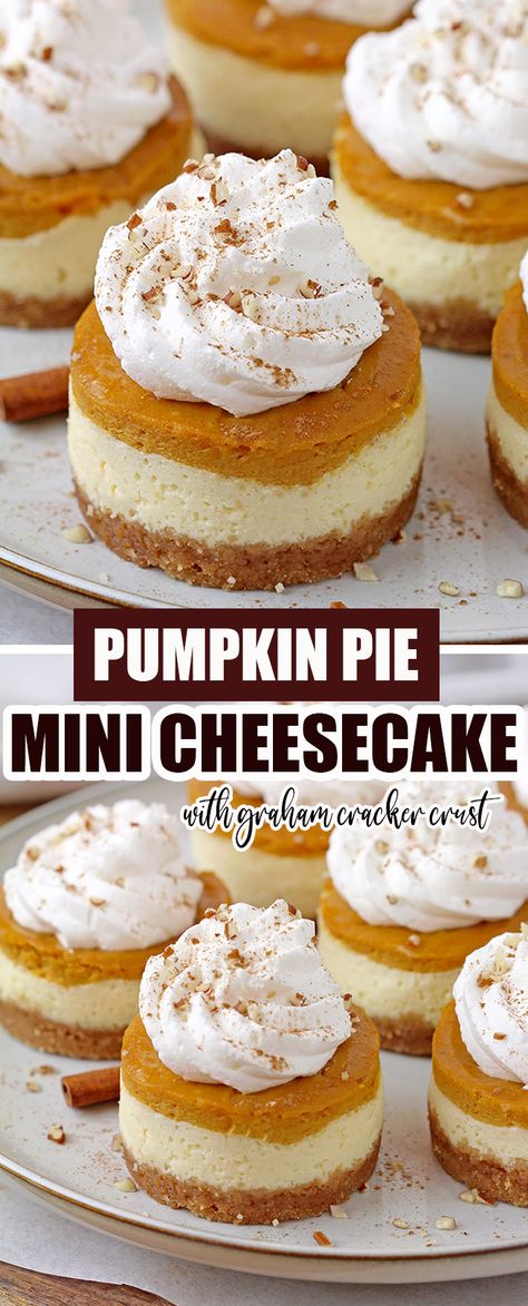 Double Pumpkin Cheesecake, Pumpkin Pie In Cupcake Pan, Pumpkin Cheesecake Tarts Recipe, Cheesecake Fall Recipes, Fun Things To Bake Thanksgiving, Mini Pumpkin Pie Desserts, Mini Cheesecakes In Springform Pan, Mini Pie Cupcakes, Cute Fall Baking Recipes