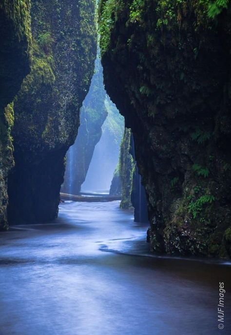 Oneonta Narrows - Columbia River Gorge, Oregon. Located at the Columbia River at River Mile 138, the falls are just half a mile up Oneonta Creek. The best way for visitors to reach Oneonta Narrows is by taking the Historic Columbia River Highway, which also takes in must-see sights such as the Benson State Recreation Area, Multnomah Falls, John B Yeon State Park and Ainsworth State Park. Columbia River Gorge Oregon, Gorge Oregon, Visit Oregon, Oregon Road Trip, Matka Natura, Columbia River Gorge, Oregon Travel, Columbia River, Jackson Hole