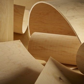 Radius Bending Plywood | Bendable & Flexible Plywood Bendable Plywood, Bending Plywood, Flexible Plywood, Flexible Wood, Wood Light Fixture, Timber Panelling, Plywood Panels, Curved Walls, Plywood Sheets