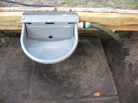 tractor supply automatic waterer Automatic Waterer For Chickens, Chicken Watering System, Chicken Waterer Diy, Automatic Chicken Door, Chicken Door, Livestock Barn, Automatic Waterer, Farming Ideas, Chicken Waterer