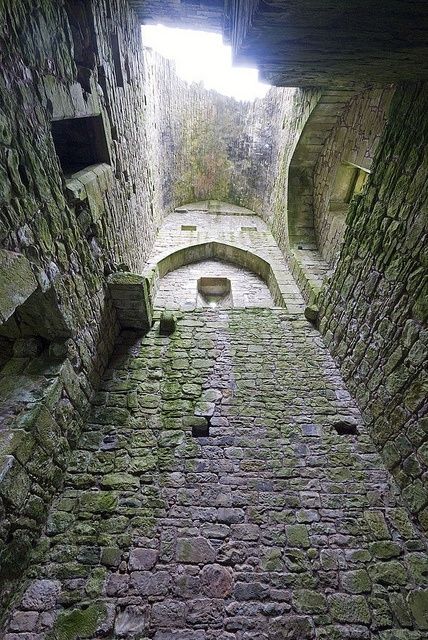 Hermitage Castle Inside | Hermitage Castle by John Charlton (Another inside view!) Castle Reference, Clan Armstrong, Medieval Scotland, Hermitage Castle, Inside Castle, Castles Of The World, Inside Castles, Scottish Pride, Scottish Borders