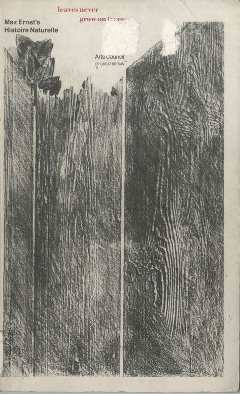 This was created by Max Ernst, who created texture through processes of frottage. This design is simply made from layers of pencil, charcoal, and lead, but it still has implied texture. City Grid, Art Teaching, Weird Images, Max Ernst, Digital Texture, German Art, Art Books, By Max, Artist Books