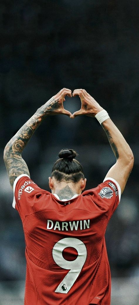 Liverpool Football Team, Liverpool Football Club Players, Liverpool Fc Team, Liverpool Club, Liverpool Tattoo, Liverpool Football Club Wallpapers, Ynwa Liverpool, Darwin Nunez, Liverpool Anfield