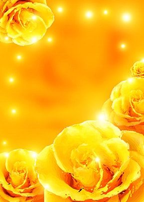 yellow,rose,flower,background,yellow rose background,yellow background,flowers,roses,rose background,cool yellow background,yellow aesthetic background Yellow Roses Background, Yellow Rose Background, Rose Flower Background, Peony Leaves, Watercolor Flower Illustration, Paradise Wallpaper, Yellow Rose Flower, Green Wedding Flowers, Flower Background Images