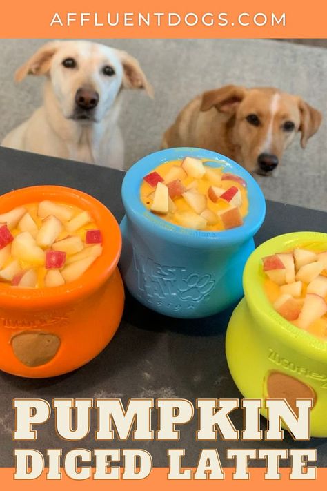 Two Labradors looking over a new recipe for West Paw Toppl Dog Lick Bowls, Frozen Lick Bowl For Dogs, Lick Mat Recipes Dog Frozen, Toppl Dog Recipes, Paw Pumpkin, Chew Toys For Dogs, Kong Recipes, Foods Dogs Can Eat, Boarding Facility